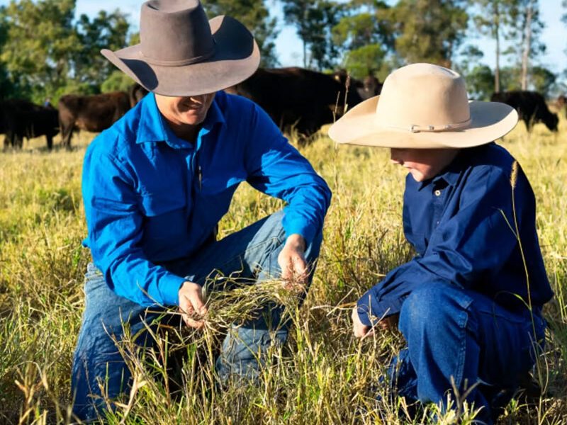 DARLING-DOWNS-WAGYU-AUSTRALIANO-PASTOS