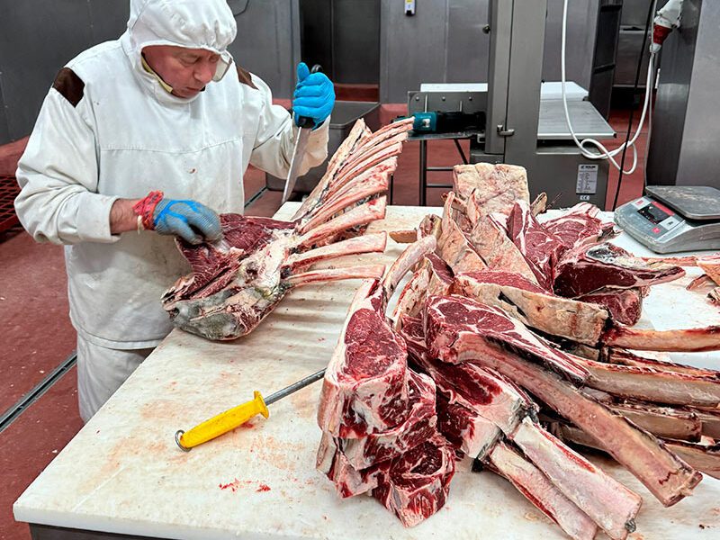 VACA-AROUQUESA-MATADERO-optimizada